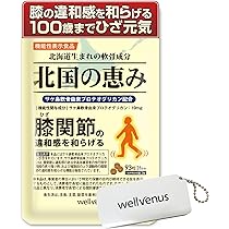 北国の恵み2個 北国の恵み プロテオグリカン 2型コラーゲン 93粒